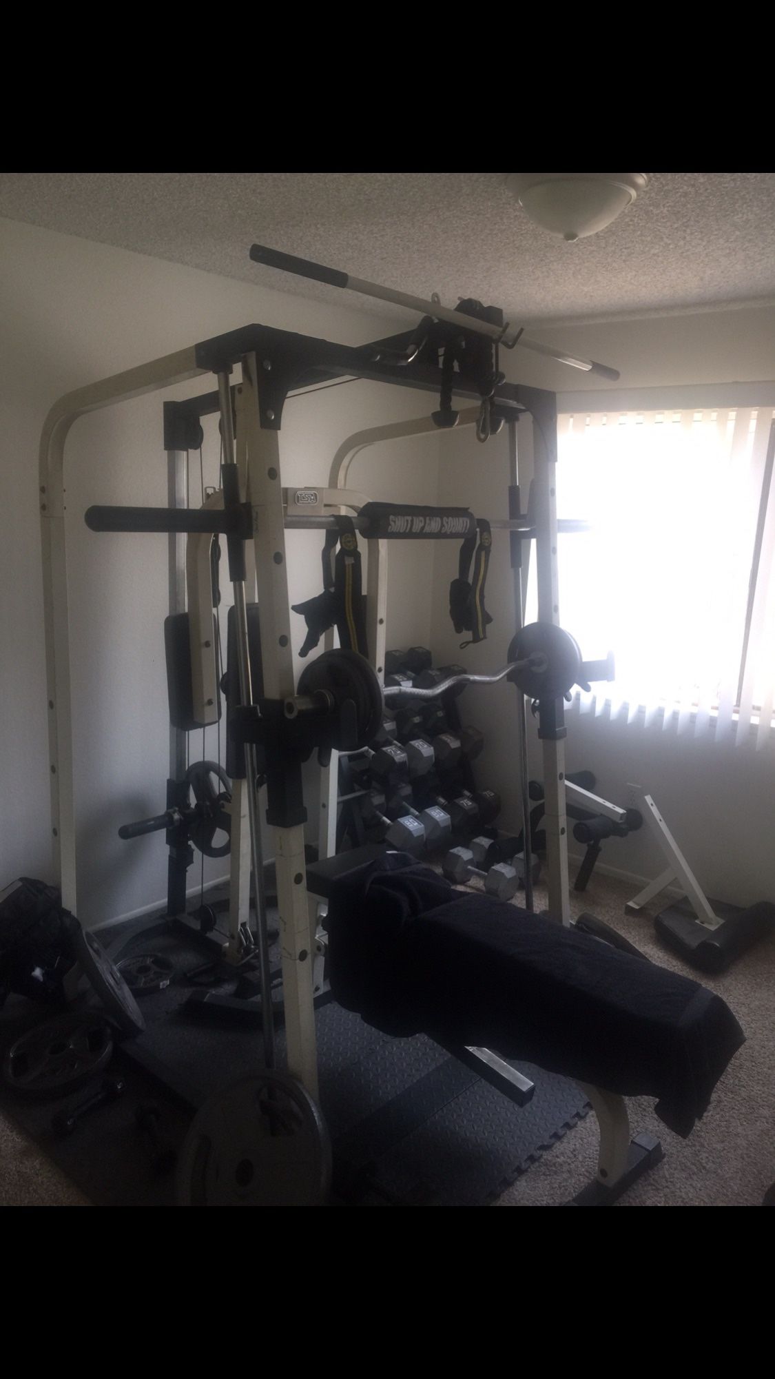 Home Gym/Smith Machine