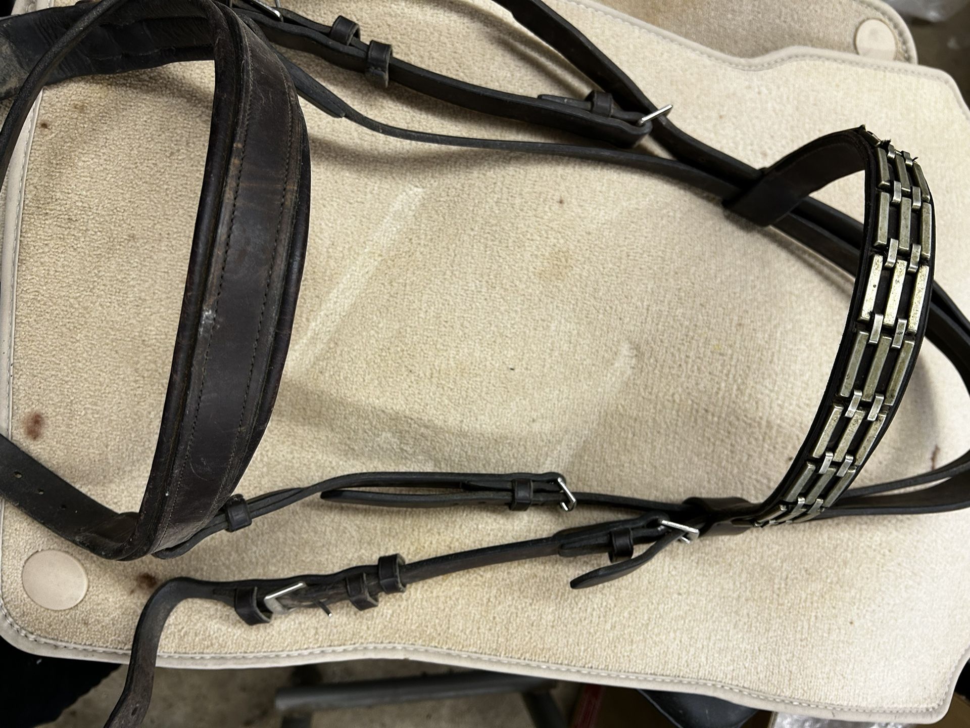 Bridle