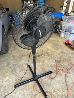 Holmes Black Pedestal Fan – Oscillating 3-Speed Standing Fan