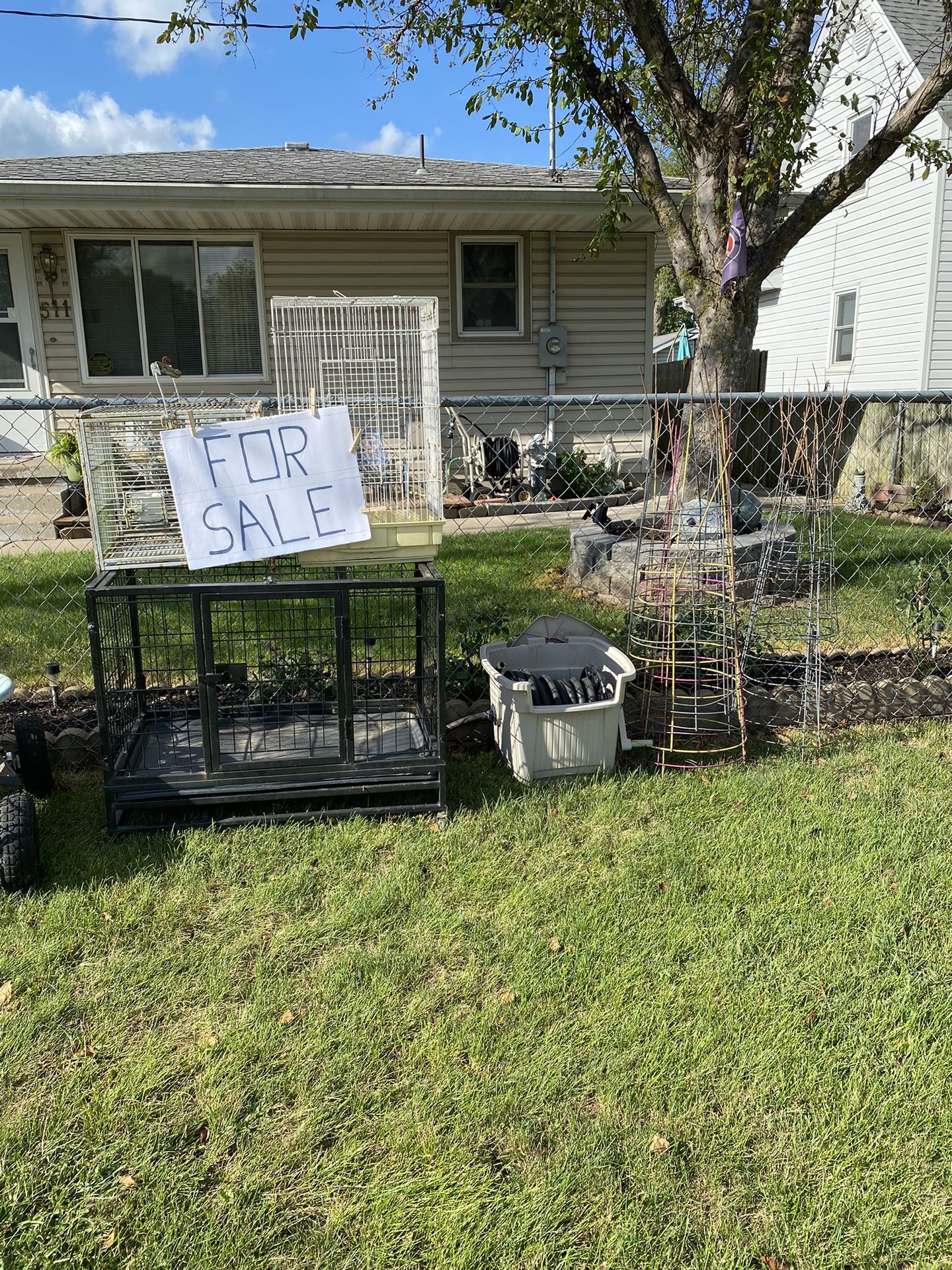 Bird Cages