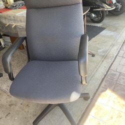 Office Chairs Lije New Sunnyvale 