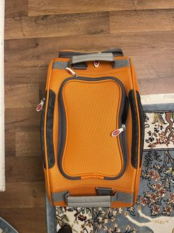 Dog Carrier  Back  
