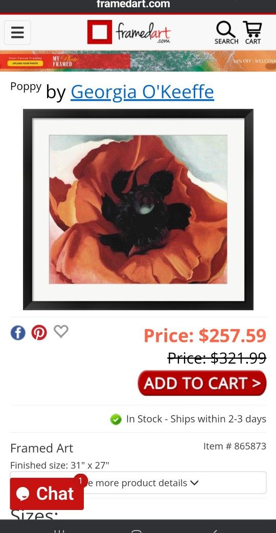 Framed Poppy Flower Picture