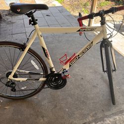 Road Series: Genesis Bike
