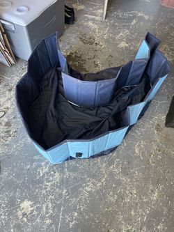 Dog Pool