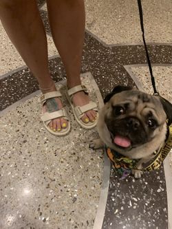 Dior Dad Sandals
