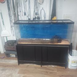 55 Gallon Aquarium With stand