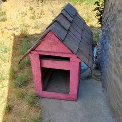 Dog House 