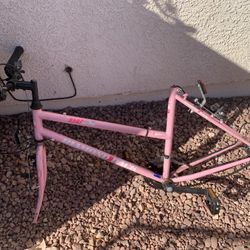 Vintage Diamondback Frame