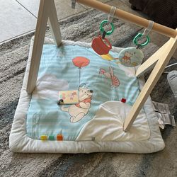Baby Playmat