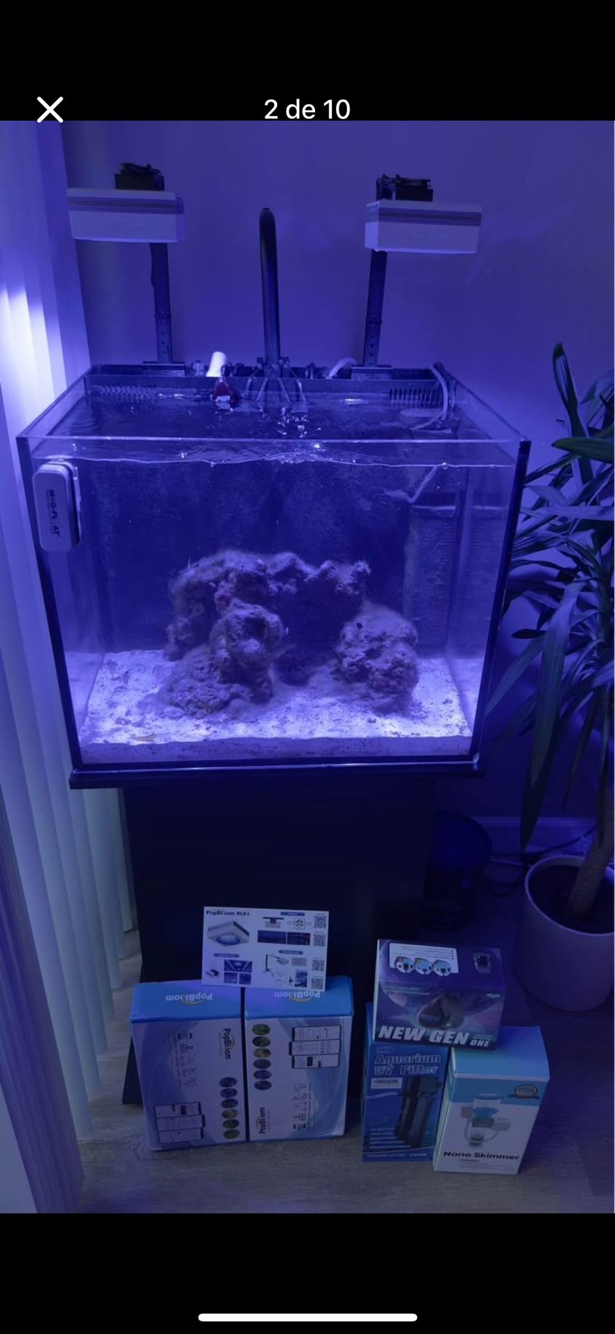 Tank Fish Aquarium 40 Gallon 