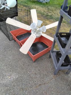 Ceiling fan and light fixture