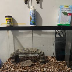 Fish Tank 
