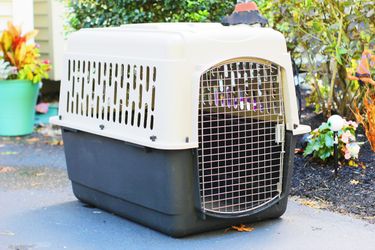 Pet Mate Vari Dog Kennel For Pets New Condition