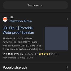 JBL Flip 6