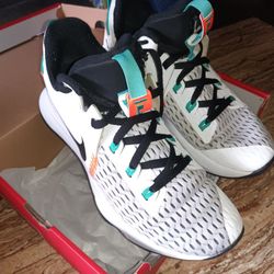 LeBron James Nike Shoes 