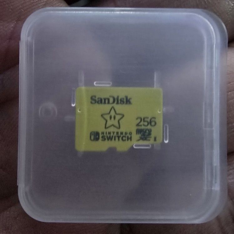 Nintendo Switch SanDisk 256