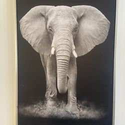 Two Black And White Paintings