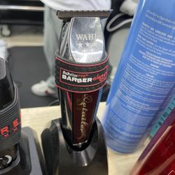 Wahl Detailer 