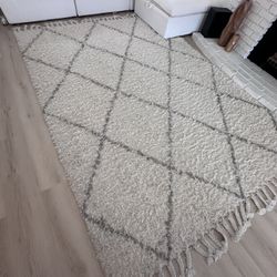 Area Rug 8 X10