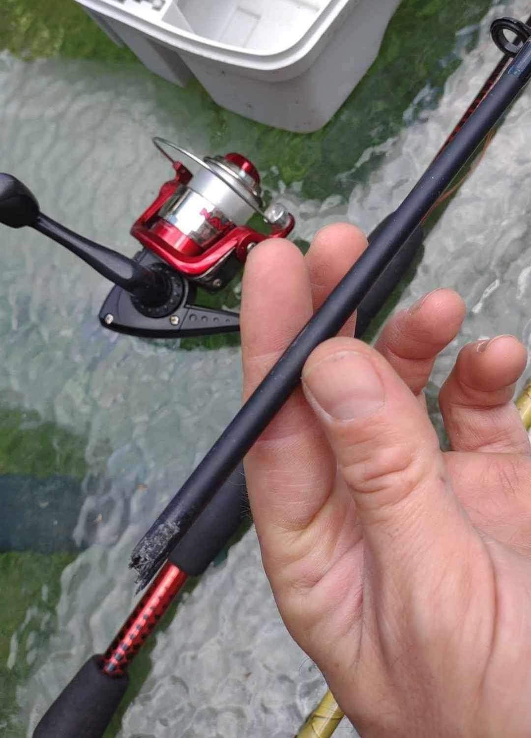 Fishing Poles.. Tackle And accessories Lot