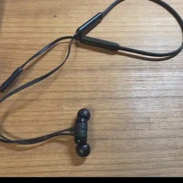 Beats Flex