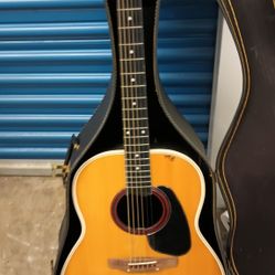 1975AppluseAA14 Guitar