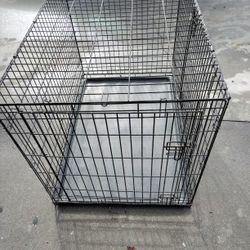 Dog 🐕 Cage XL 