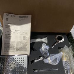 Brizo Shower Head