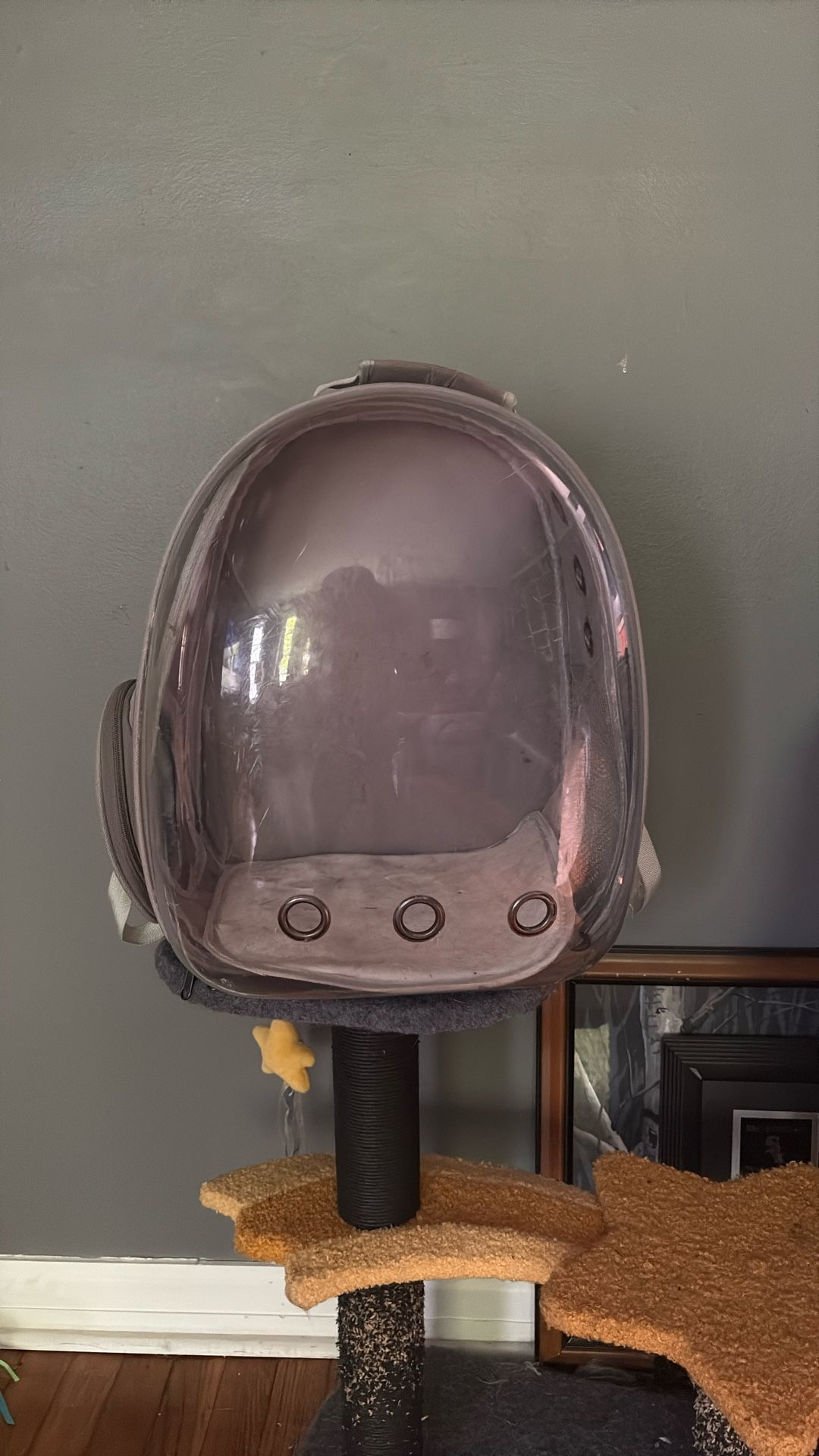 Small Pet Backpack