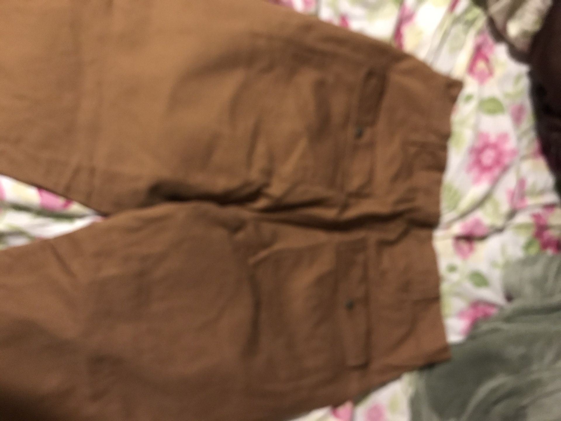 best brush pants for rabbit hunting