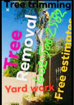 Tree🌳rrem0vall