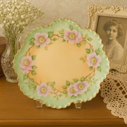  R.G. Monbijou Bavaria Antique 1910s Floral Collectors Plate, 9”
