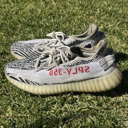 adidas Yeezy Boost 350 V2 Zebra Size 7