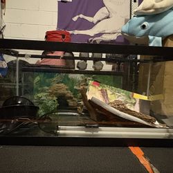 Reptile Tank