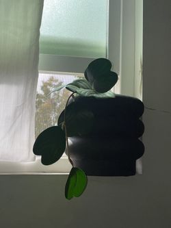 Plant/ Candle Holder Or Other