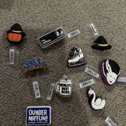 Lot Of Croc Charms 