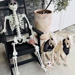 Halloween Decorations