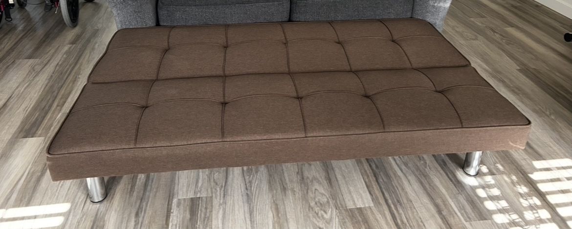 Couch (new futon couch)