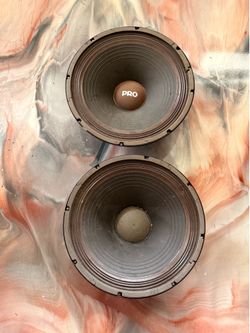 Pyle Driver woofer speaker.