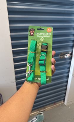 Green Adjustable Dog Collar