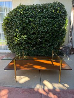 West Elm Art Display Rectangle Midcentury Modern Coffee Table