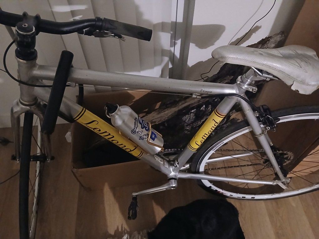 Lemond Etape Bicycke