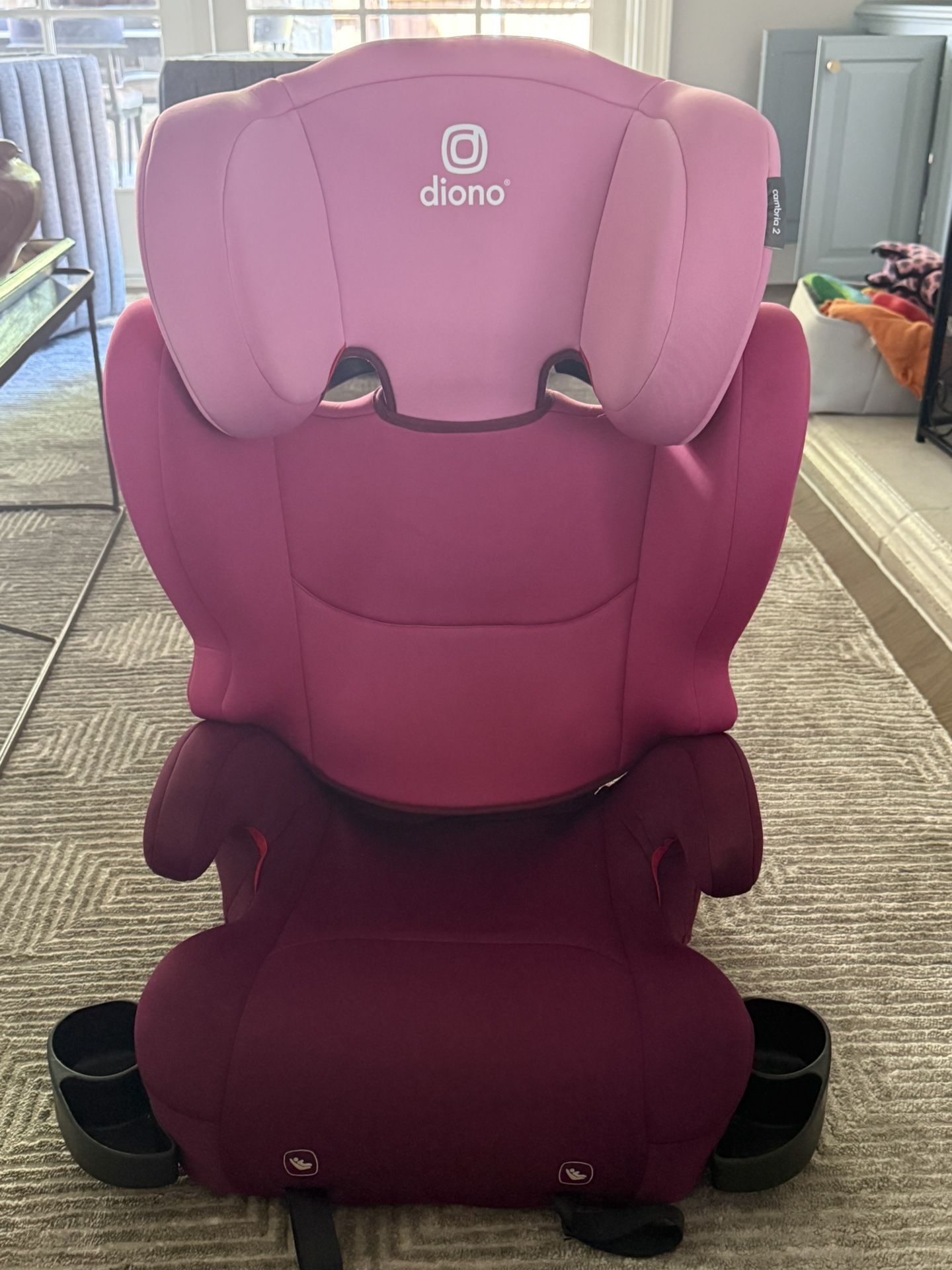 Diono Cambria 2 Booster Seat Plus Car Seat Protector