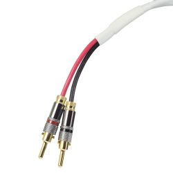 Blue JEANS Speaker CABLE 10AWG 8FT PAIR