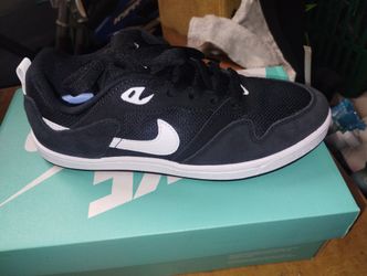 Sb Nikes