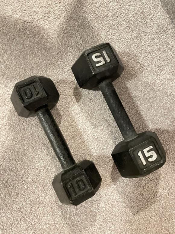 Workout Dumbbell (10/15lbs)