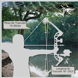 Compound Fishing Bow