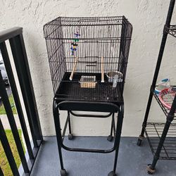 Bird Cage