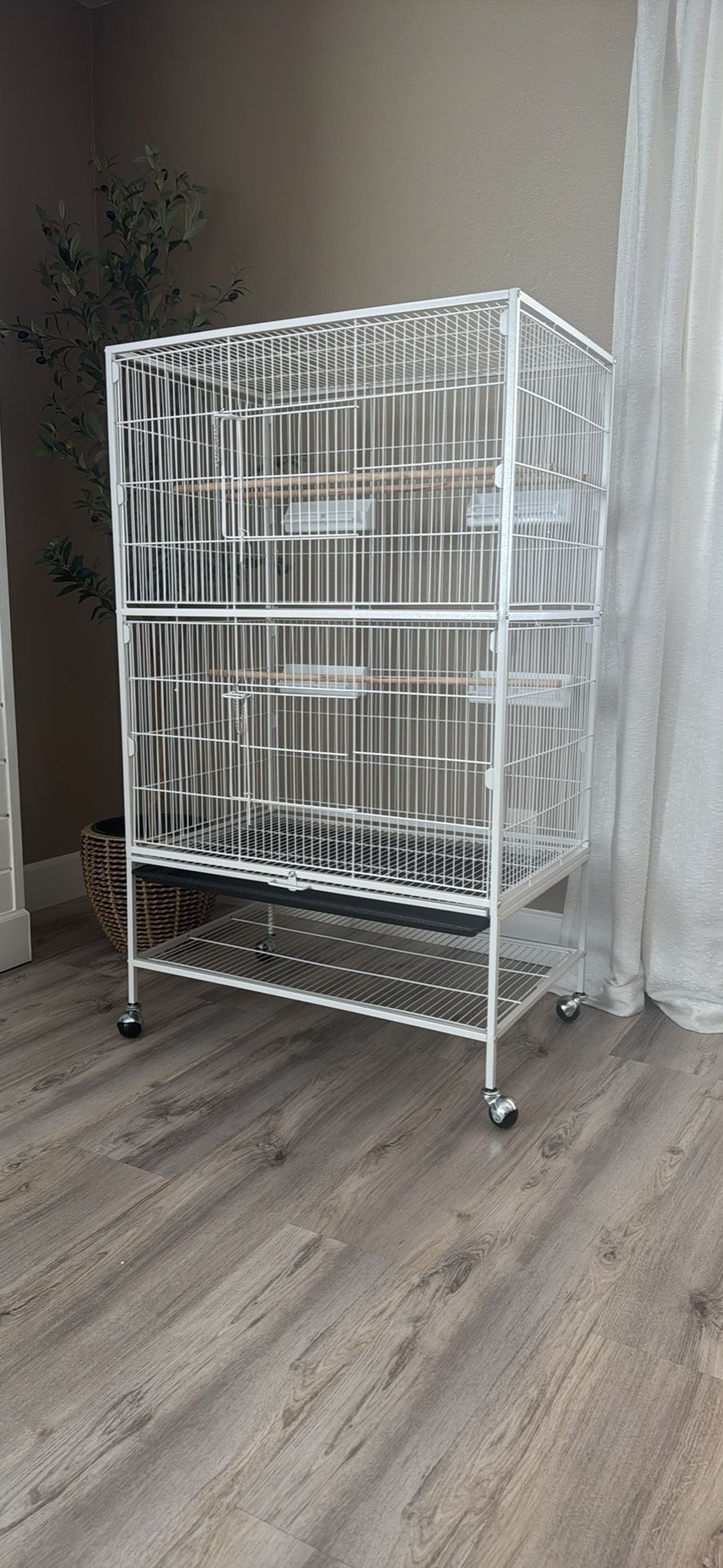 Bird Cage